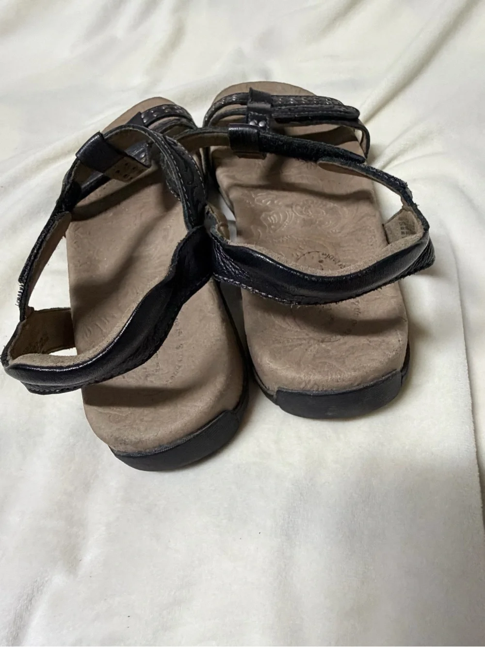 Taos Women's Trophy 2 Sandal in Black Size 38 7 Travel Comfort